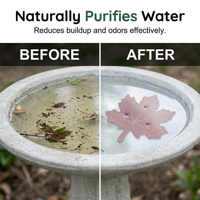 🔥2026 New Upgrade ＆ Hot Sale🔥Universal Fit Bird Bath Purifier
